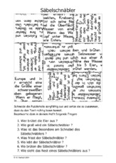 Säbelschnäbler.pdf